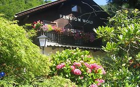 Pension Wolf  3*